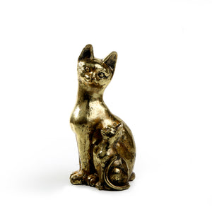 Sphynx Golden Cat-1