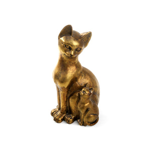 Sphynx Golden Cat-1