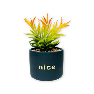 Nice Black Planter With Stand