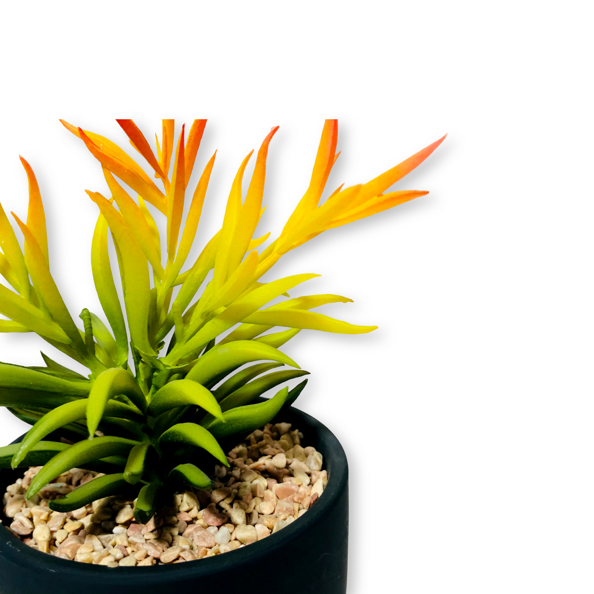 Nice Black Planter With Stand