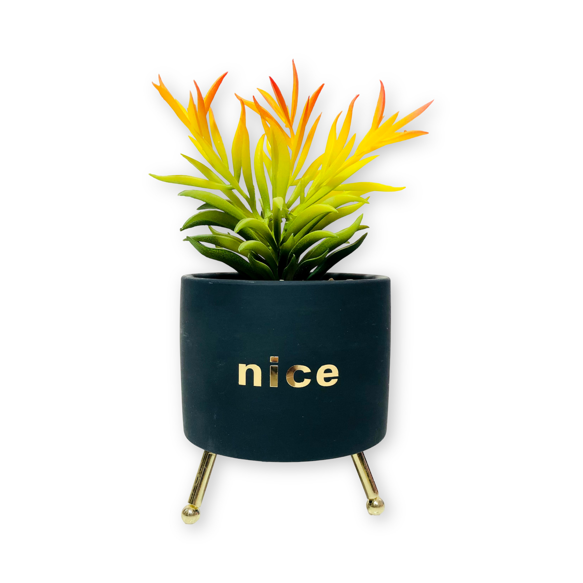 Nice Black Planter With Stand