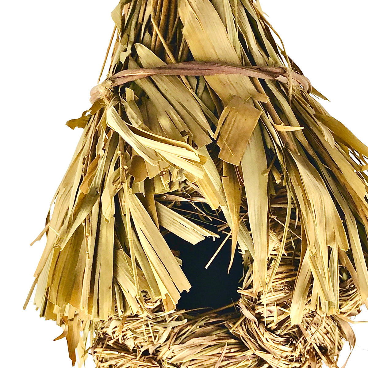 Sea Grass Birds Nest