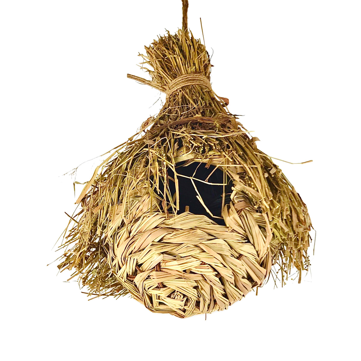 Sea Grass Birds Nest
