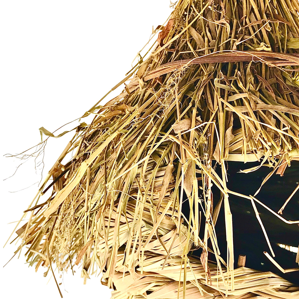 Sea Grass Birds Nest