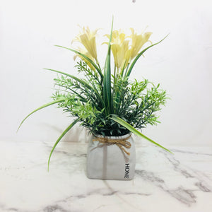 Yellow Patonia in Rough Gray Pot