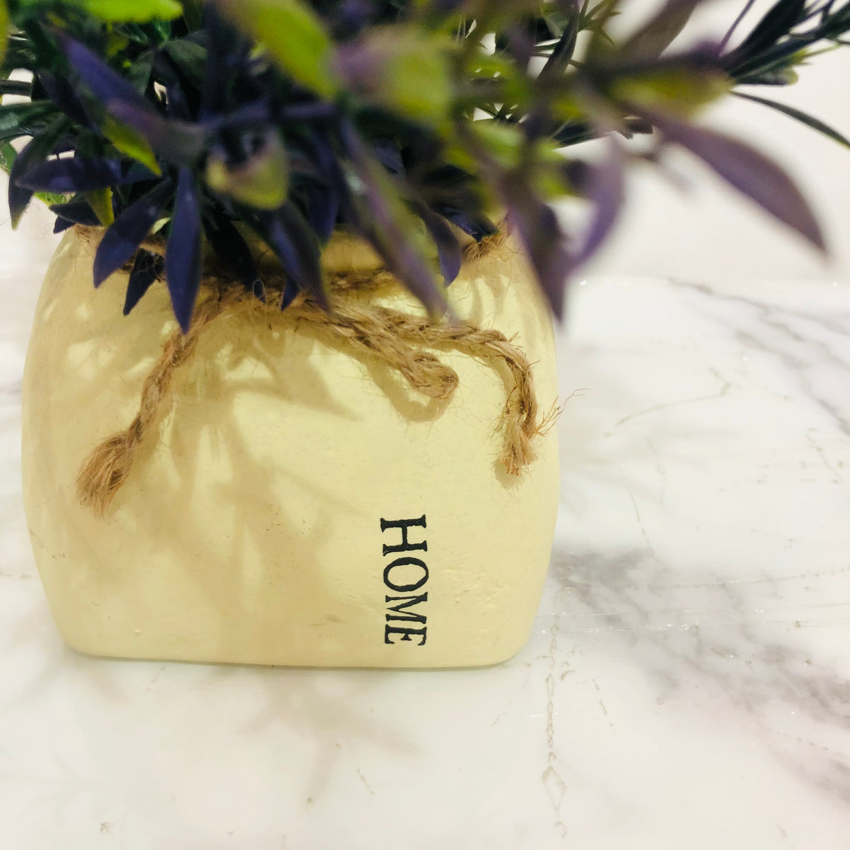 Purple Patonia in Rough Yellow Pot