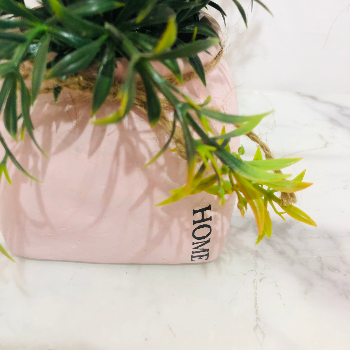 Pink Patonia in Rough Pink Pot