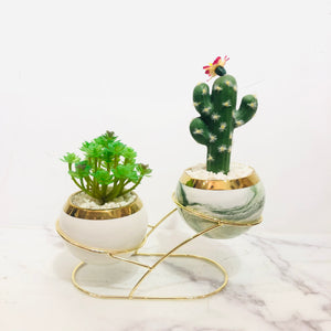 Cactus Double Pot Planter on Golden Stand