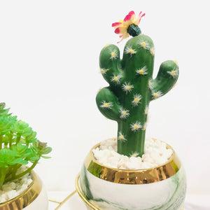 Cactus Double Pot Planter on Golden Stand