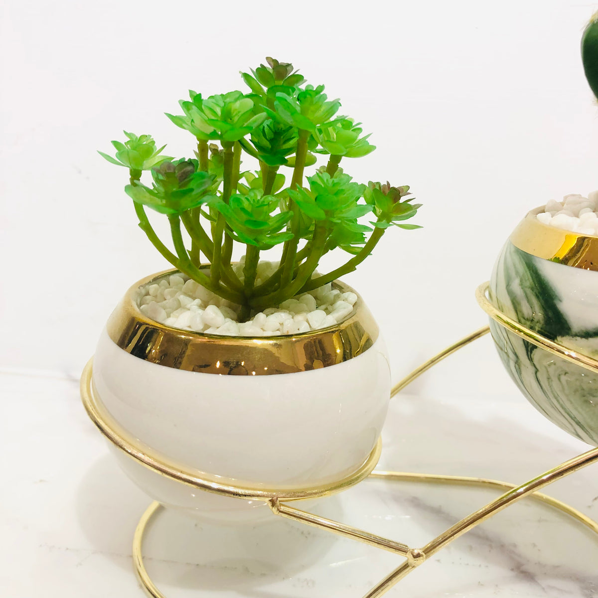 Cactus Double Pot Planter on Golden Stand