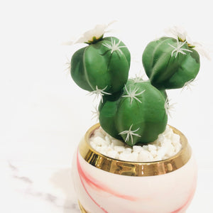 Cactus Pot Planter on Golden Stand