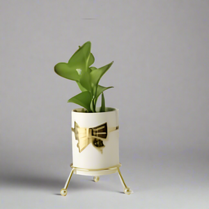 Golden Bow Stand White Planter