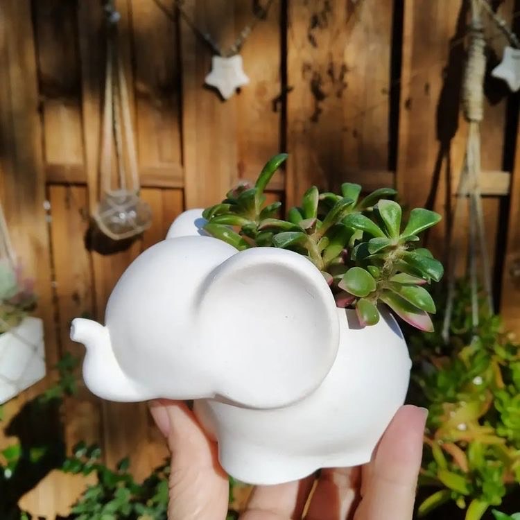 Elephant Pot for Planter