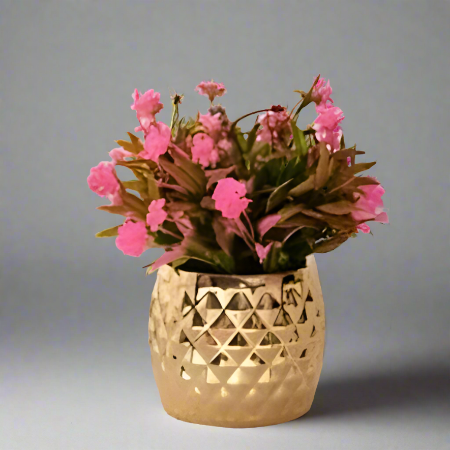 Geometric Golden Flower Panters