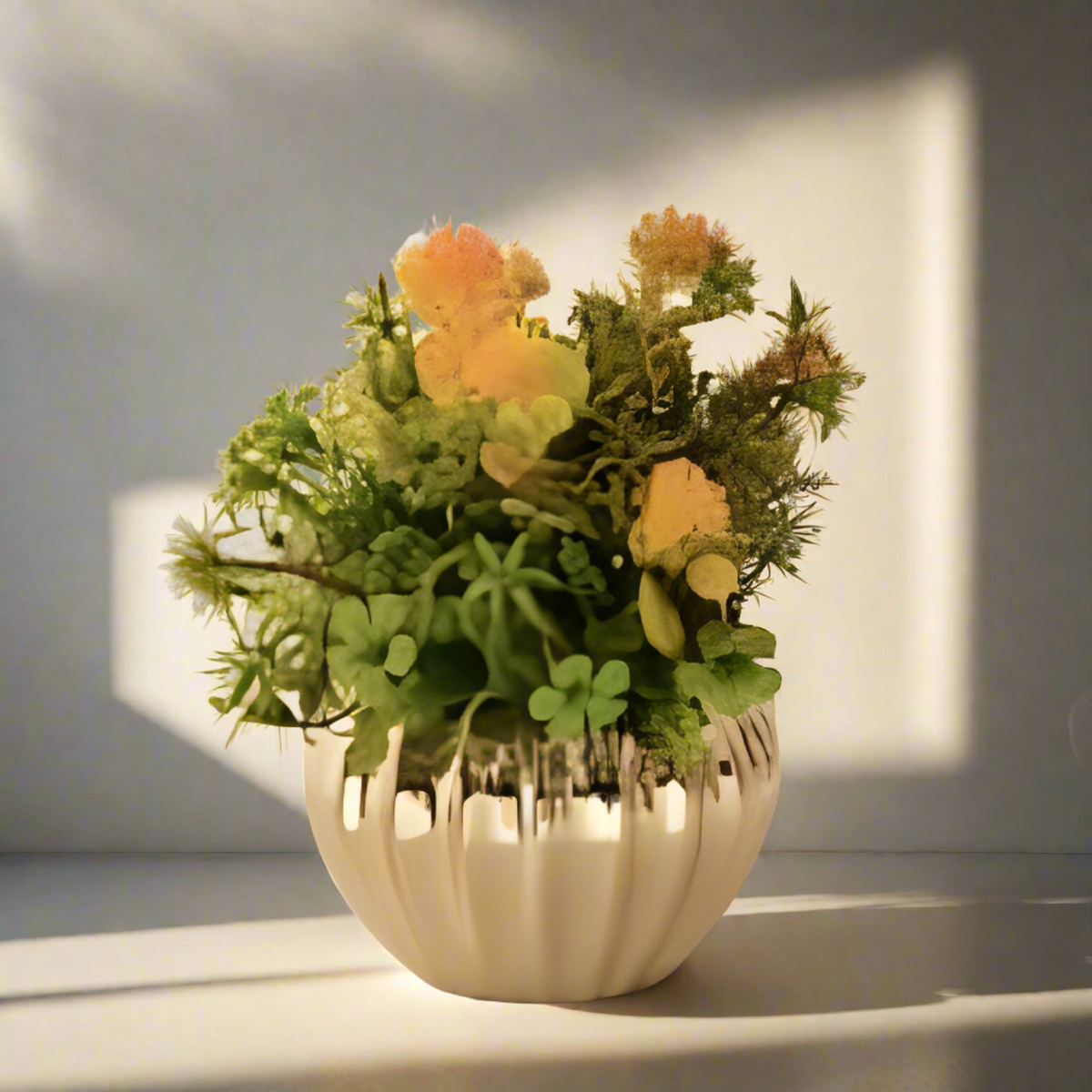 Golden Bowl Orange Jasmin Planter