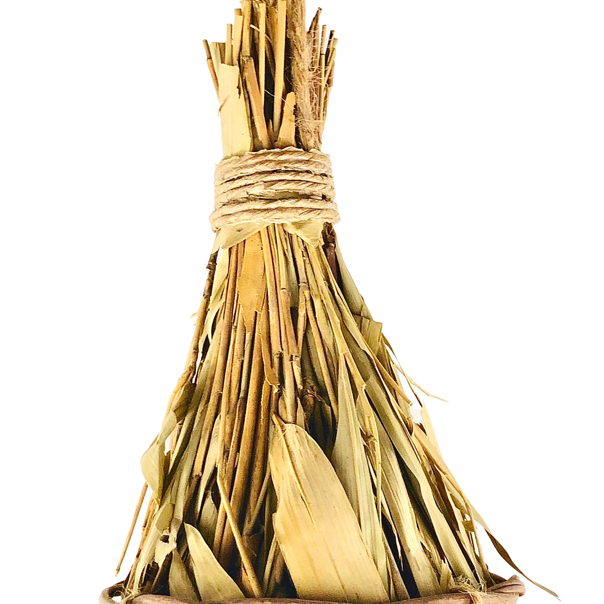 Sea Grass Birds Nest