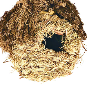 Sea Grass Birds Nest