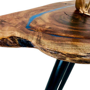 Wood Eye Resin Art Coffee Table