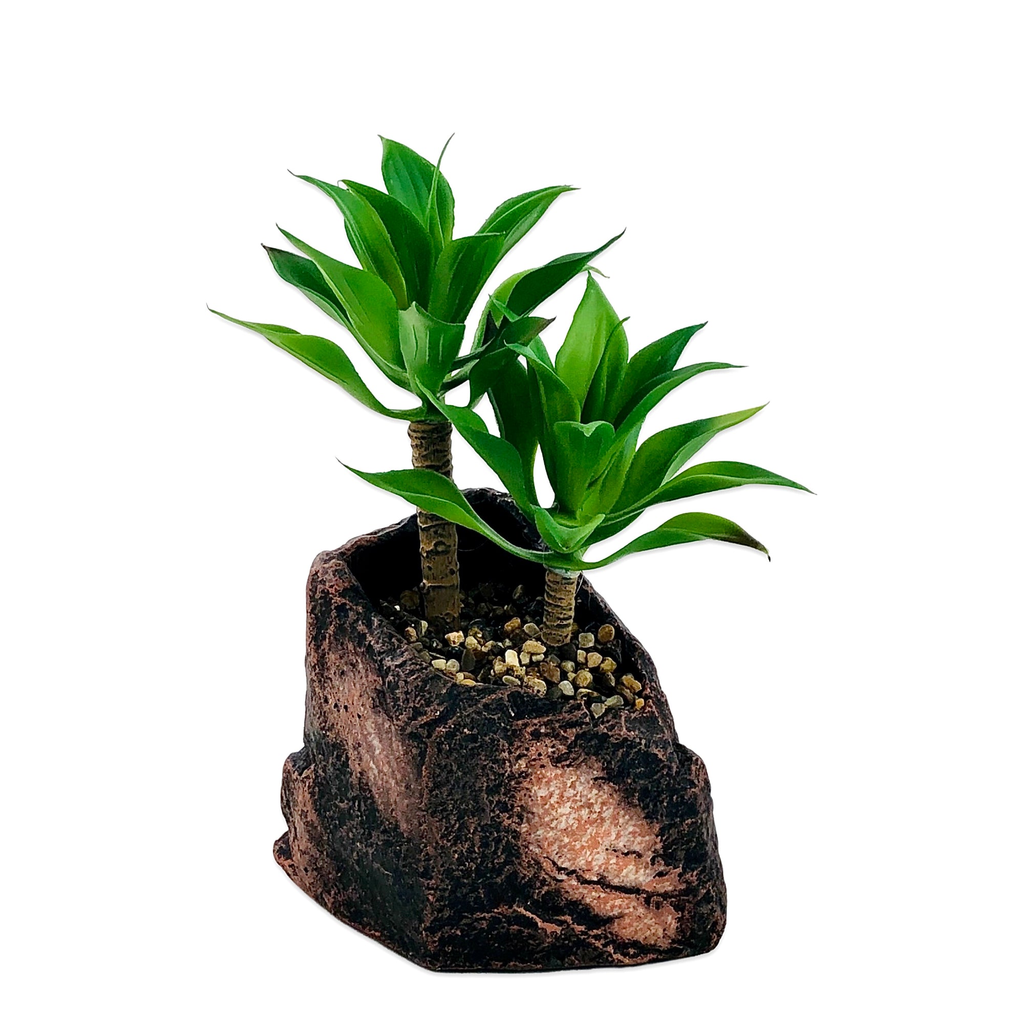 Mount Tree Shape Pot Planter