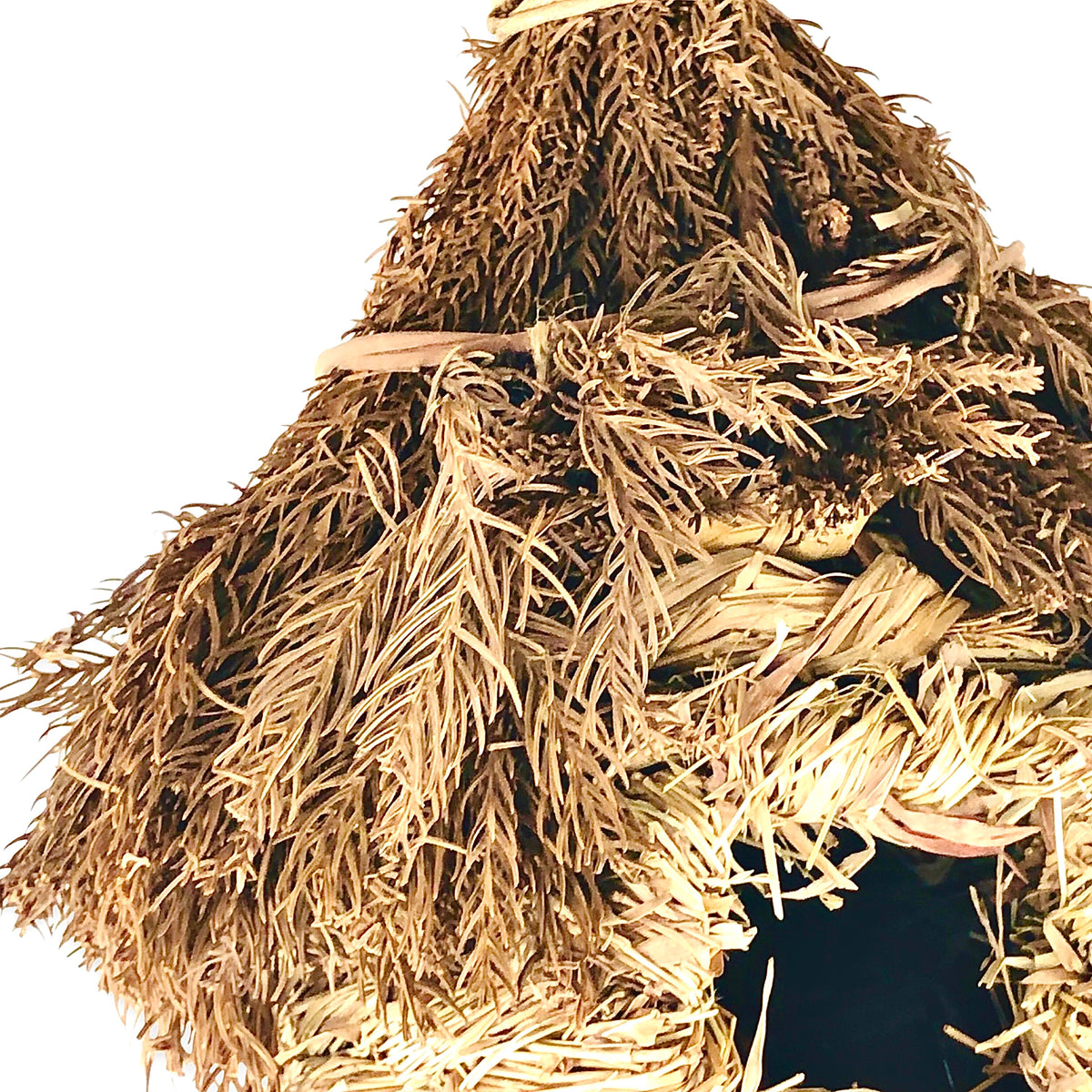 Sea Grass Birds Nest