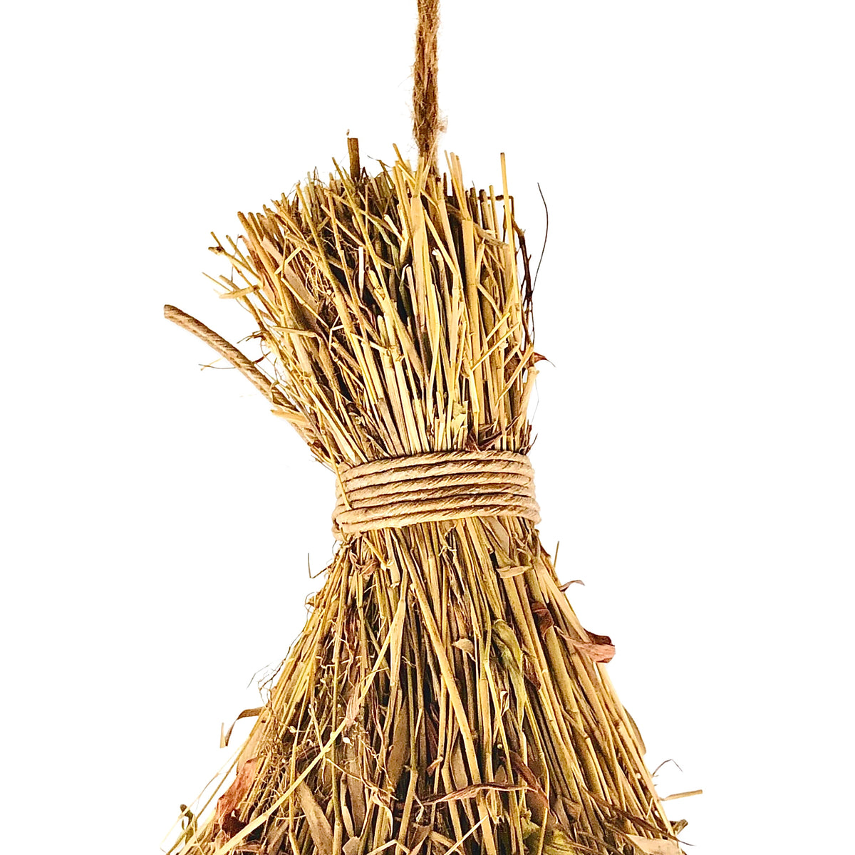 Sea Grass Birds Nest