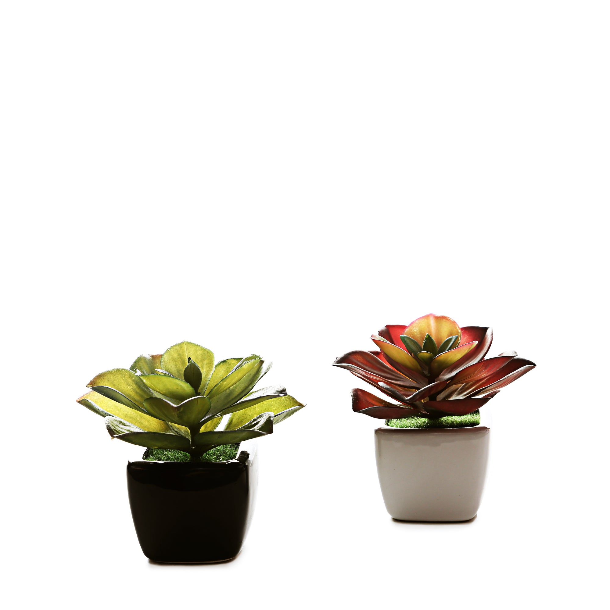 Small Ceramic Decorative Planter (set of 2)