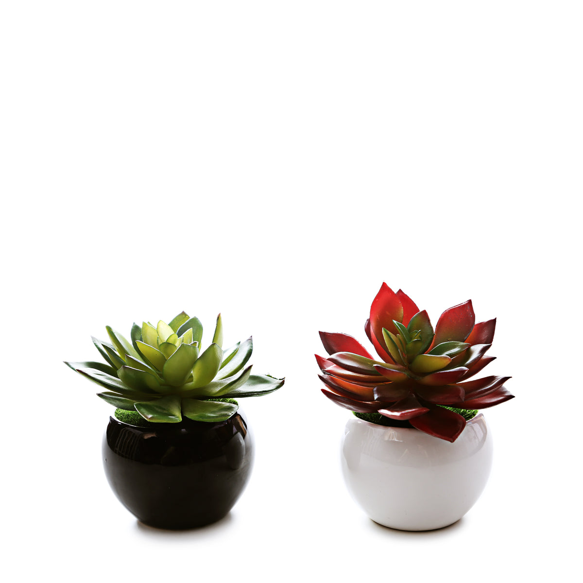 Round Ceramic Planter (set of 2)