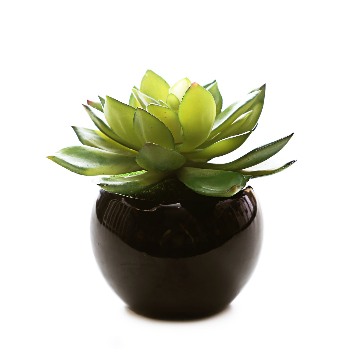 Round Ceramic Planter (set of 2)
