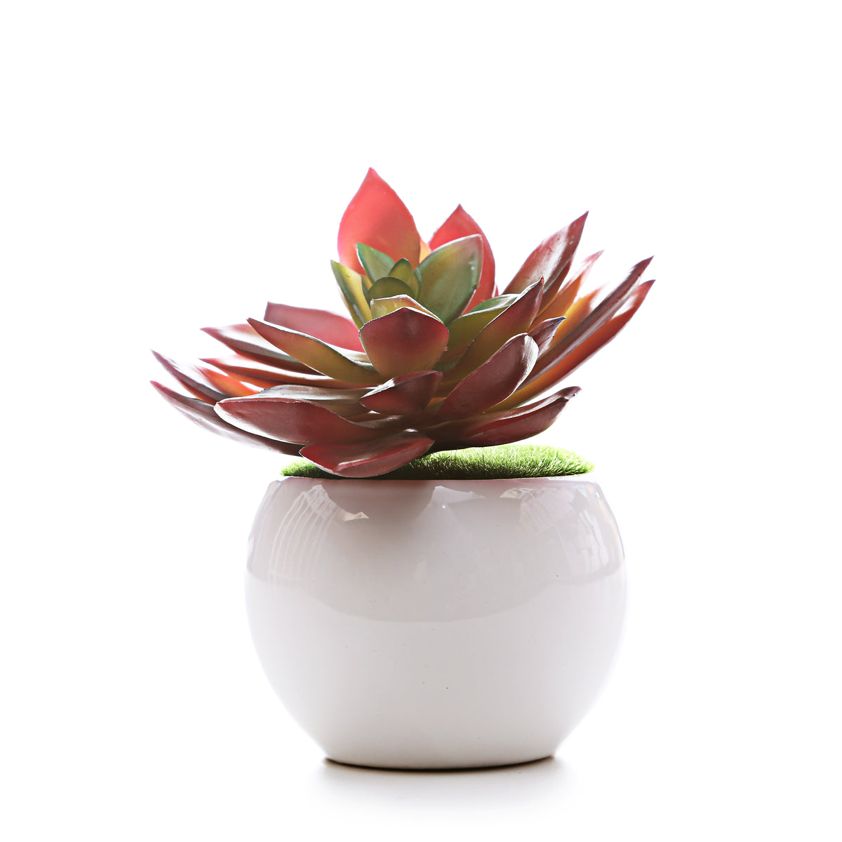 Round Ceramic Planter (set of 2)