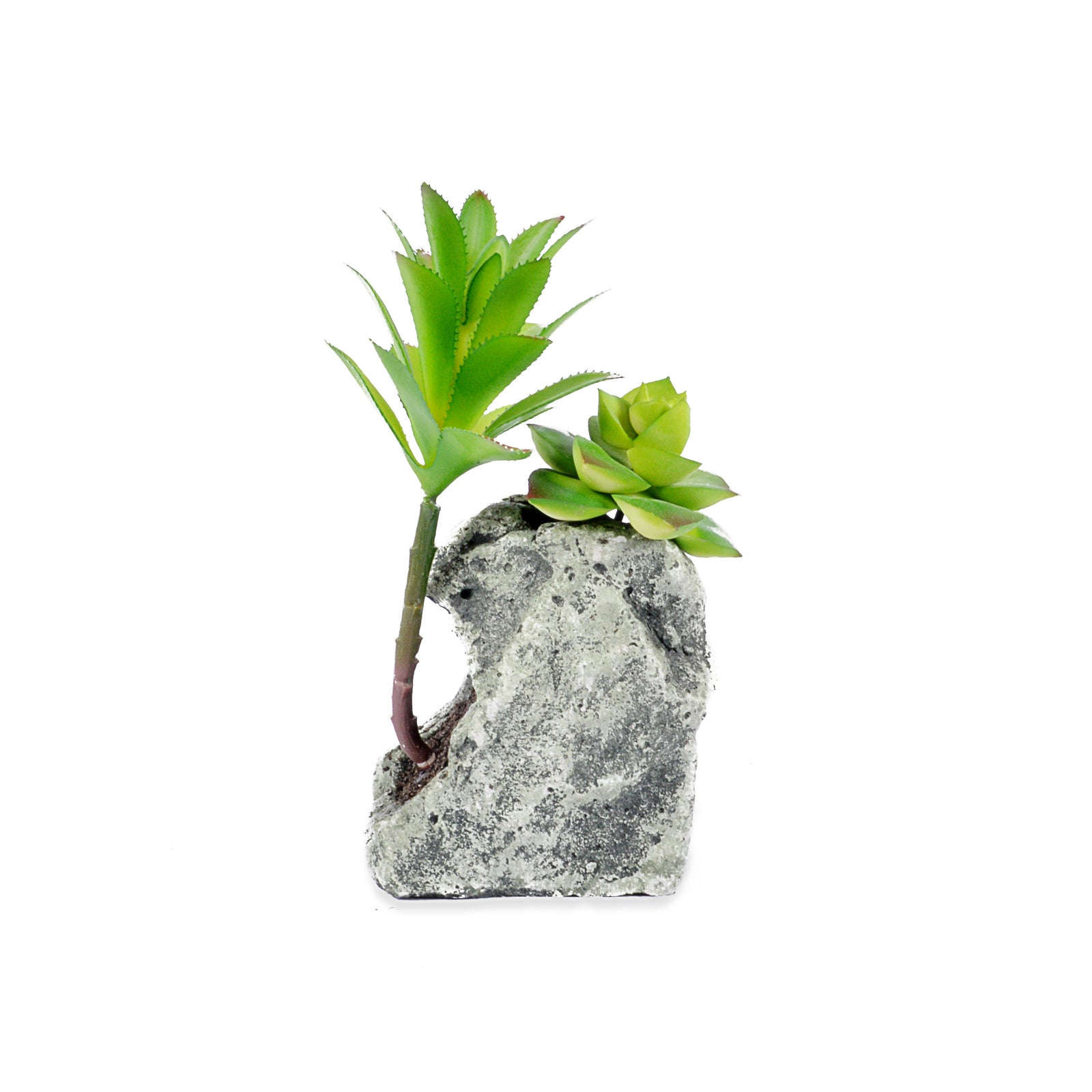 Decorative Pot Two planter with Ceramic Finish