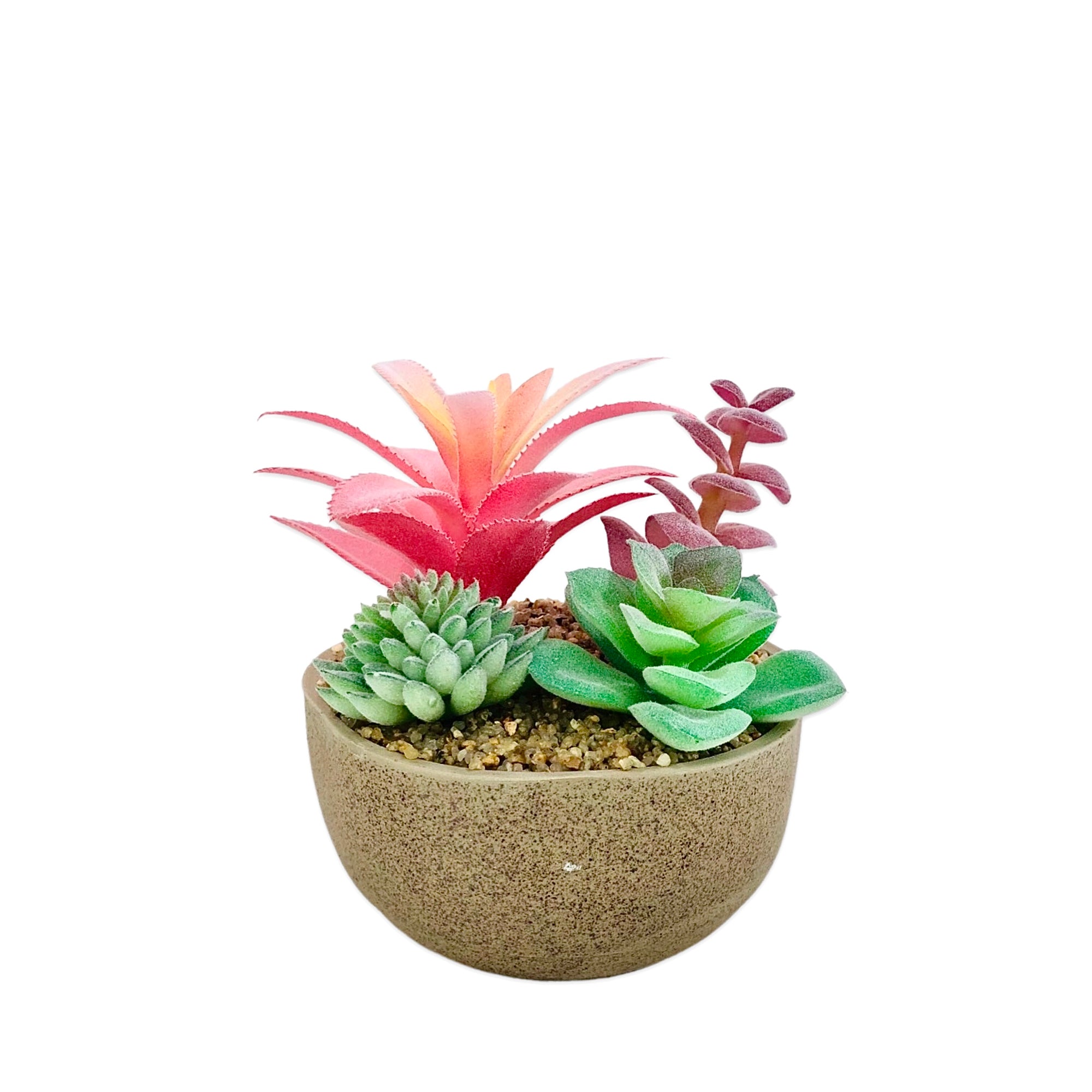 Pink & Purple Pot Planter
