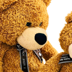 Dark Brown Fluffy Teddy Bear