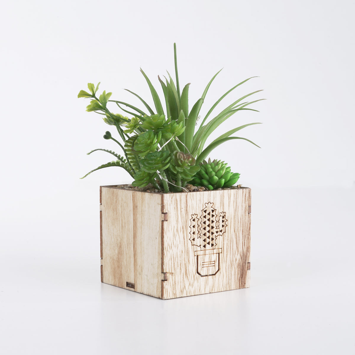 Cactus Engraved Wooden LED Pot & Planter