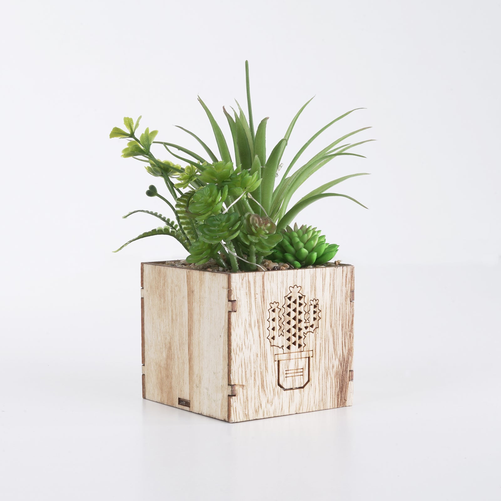 Cactus Engraved Wooden LED Pot & Planter
