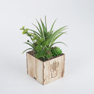 Cactus Engraved Wooden LED Pot & Planter