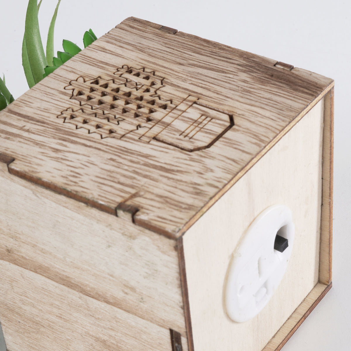 Cactus Engraved Wooden LED Pot & Planter