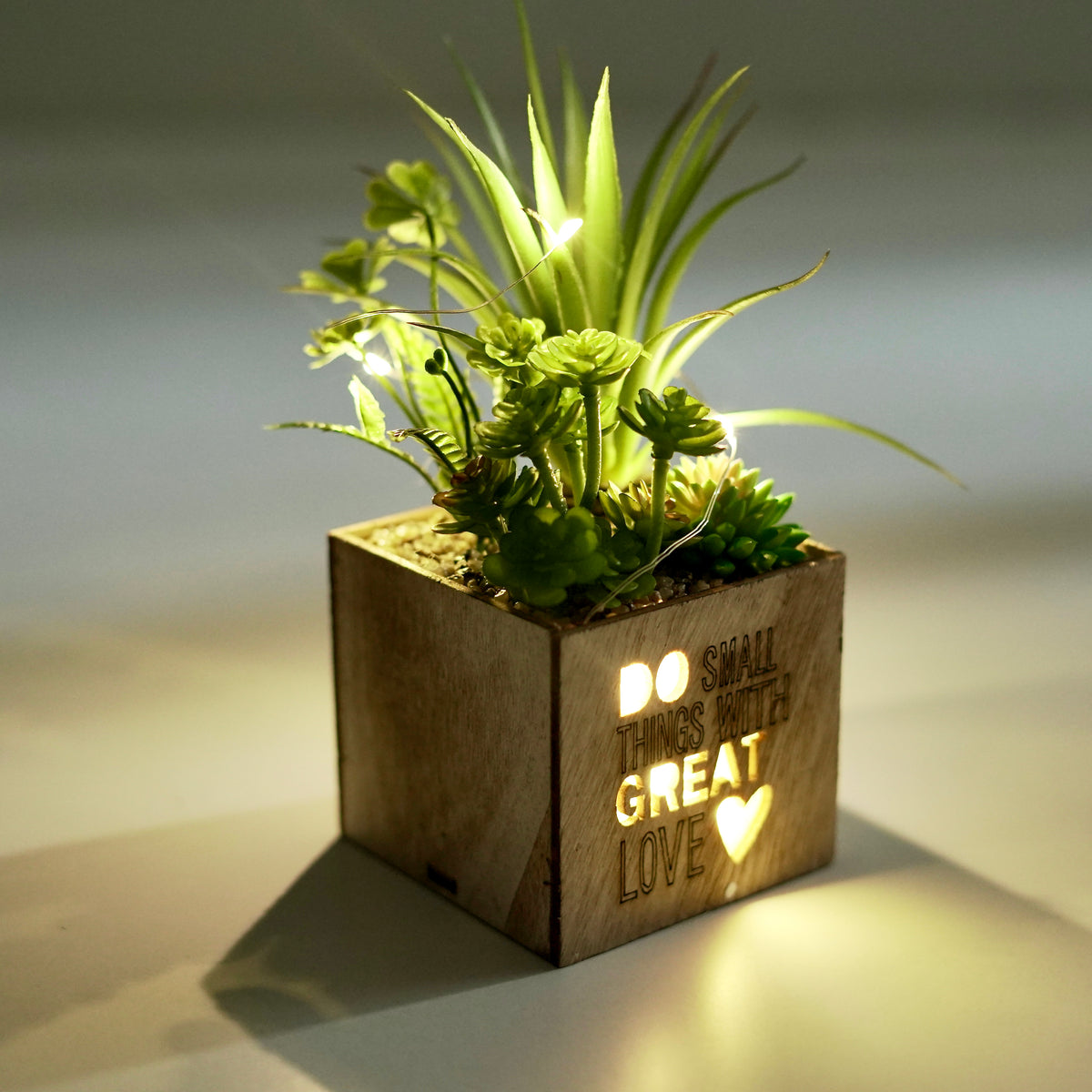 Cactus Engraved Wooden LED Pot & Planter