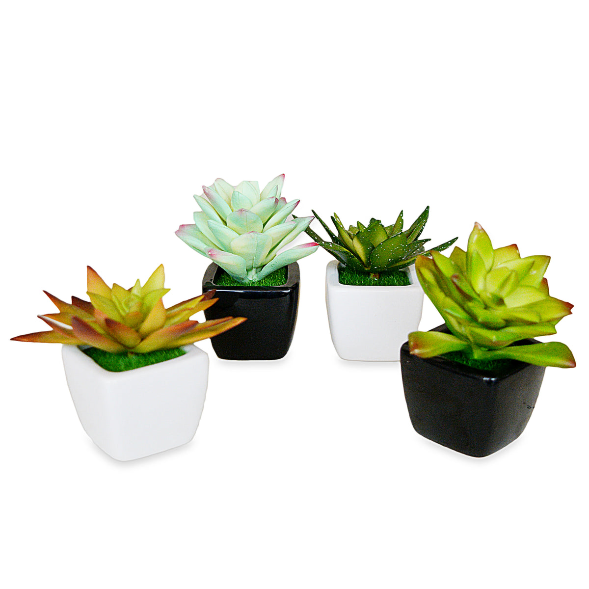 Decorative Small Pot Planter(Set Of 2)