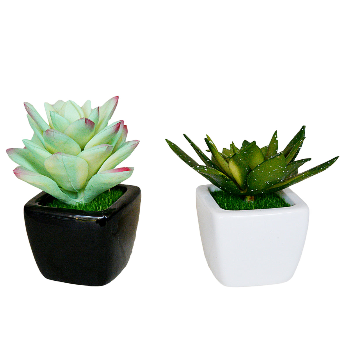 Decorative Small Pot Planter(Set Of 2)