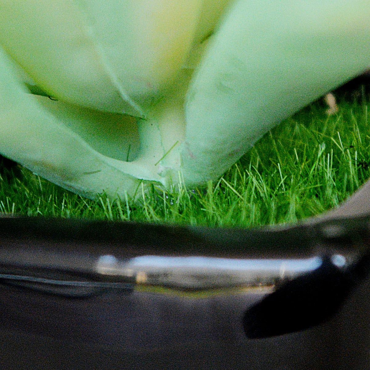 Decorative Small Pot Planter(Set Of 2)