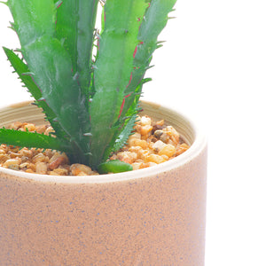 Cactus Pot Planter
