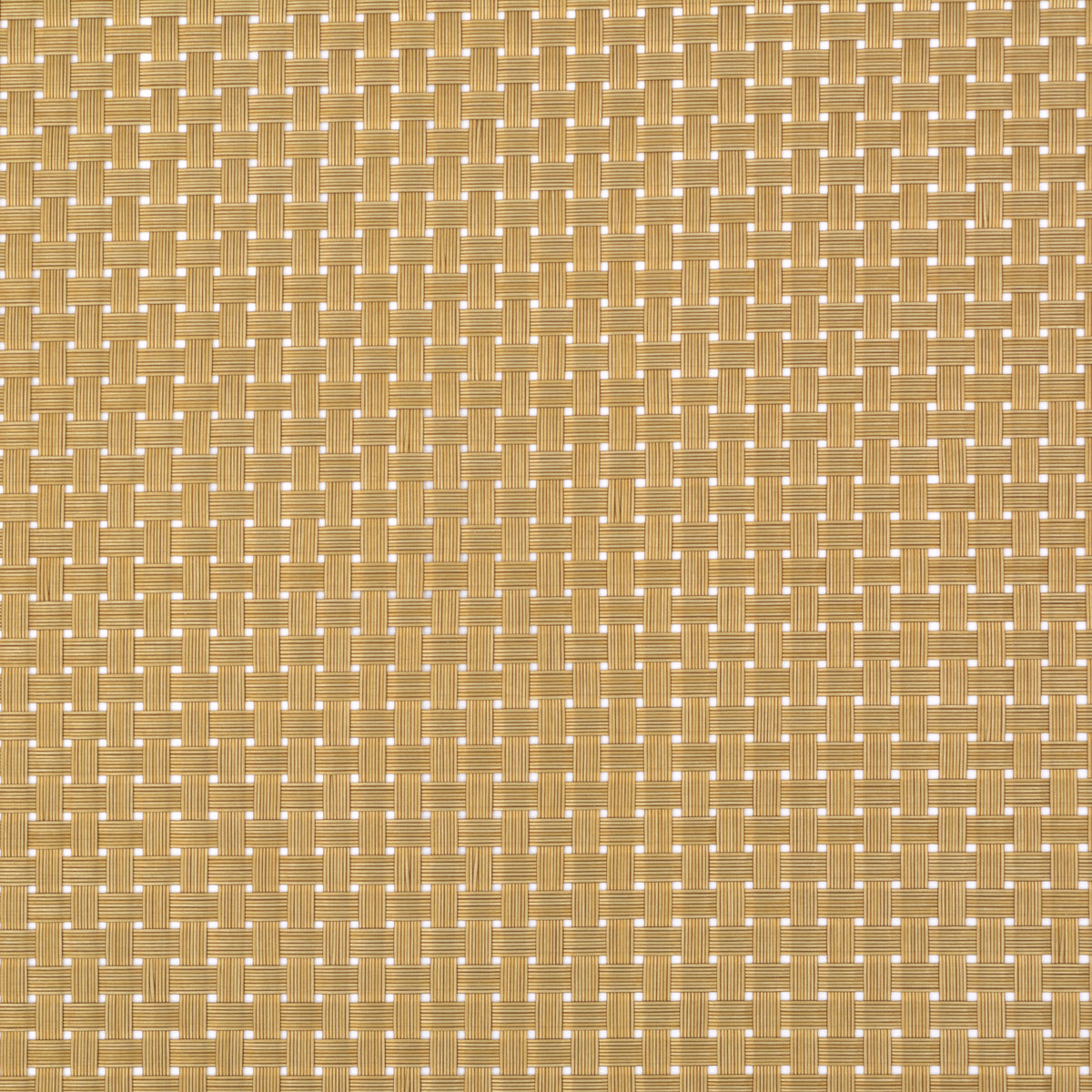 Golden Braided Design Plastic Place-mat (Set of 2)