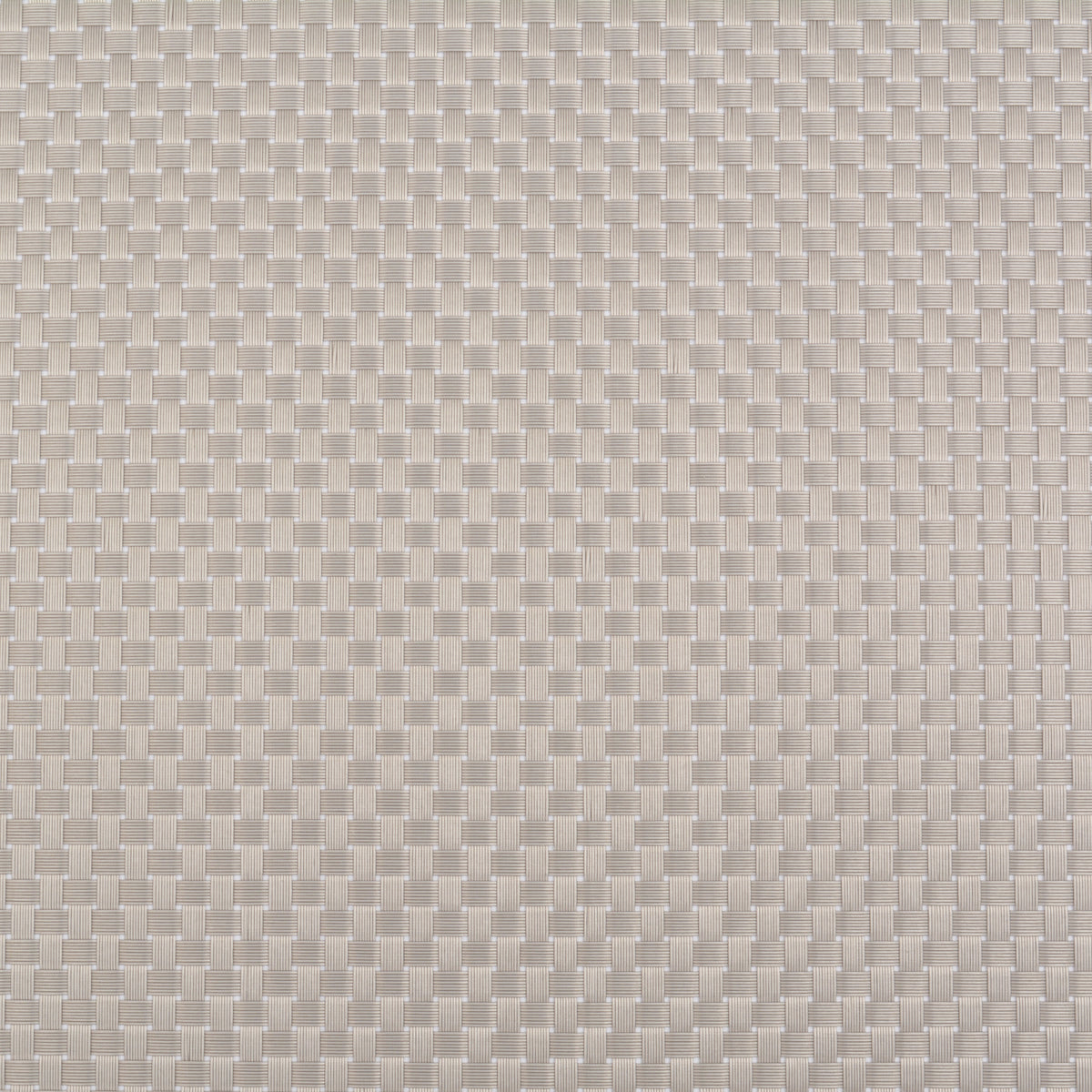 Silver Braided Design Plastic Place-mat (Set of 2)