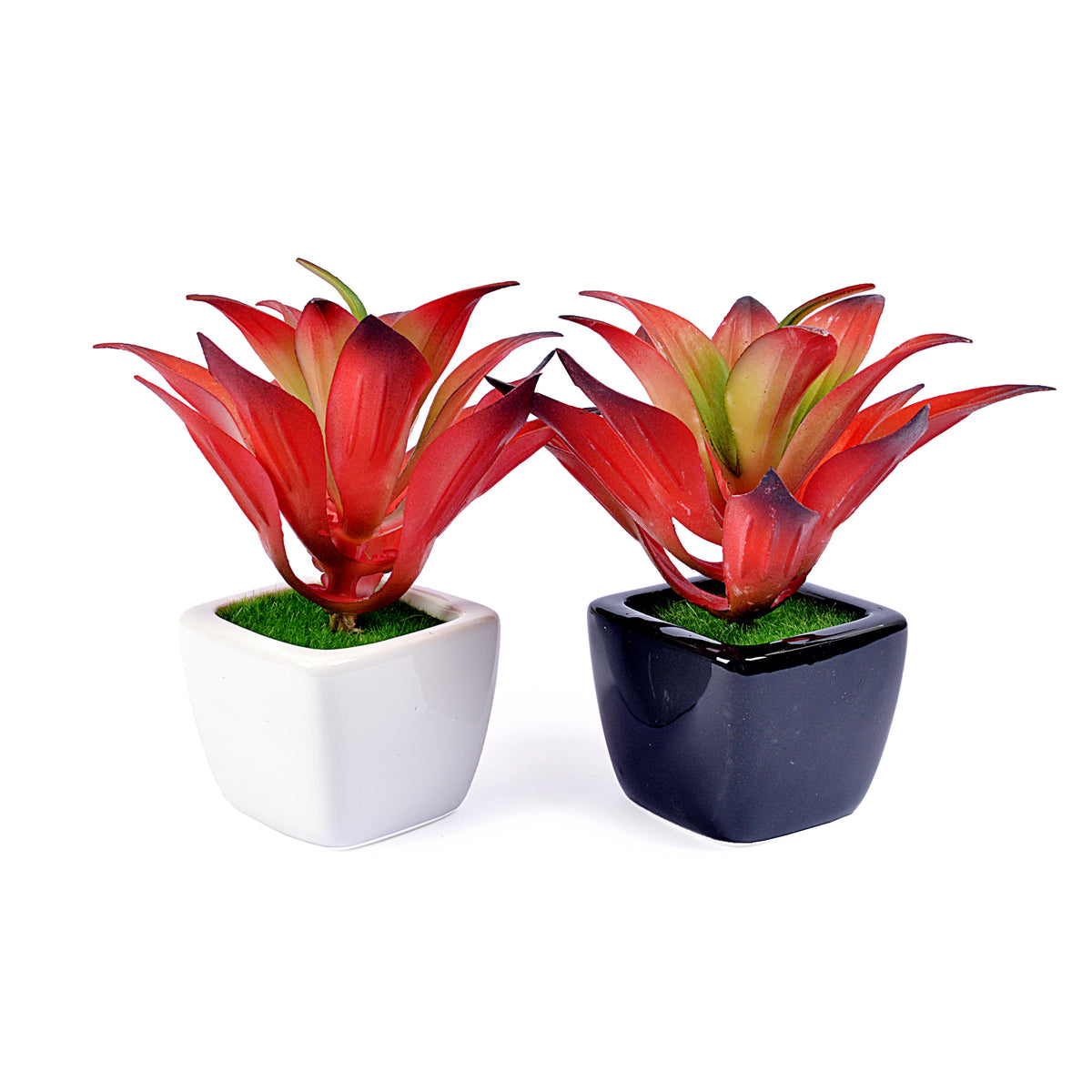 Small Ceramic Decorative Planter (set of 2)