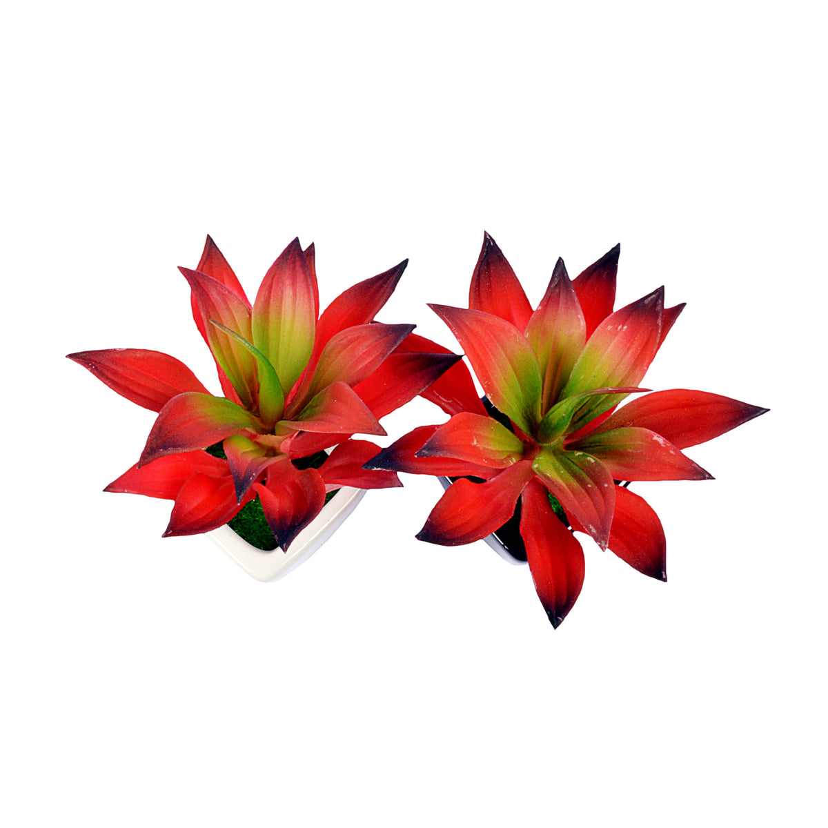 Small Ceramic Decorative Planter (set of 2)