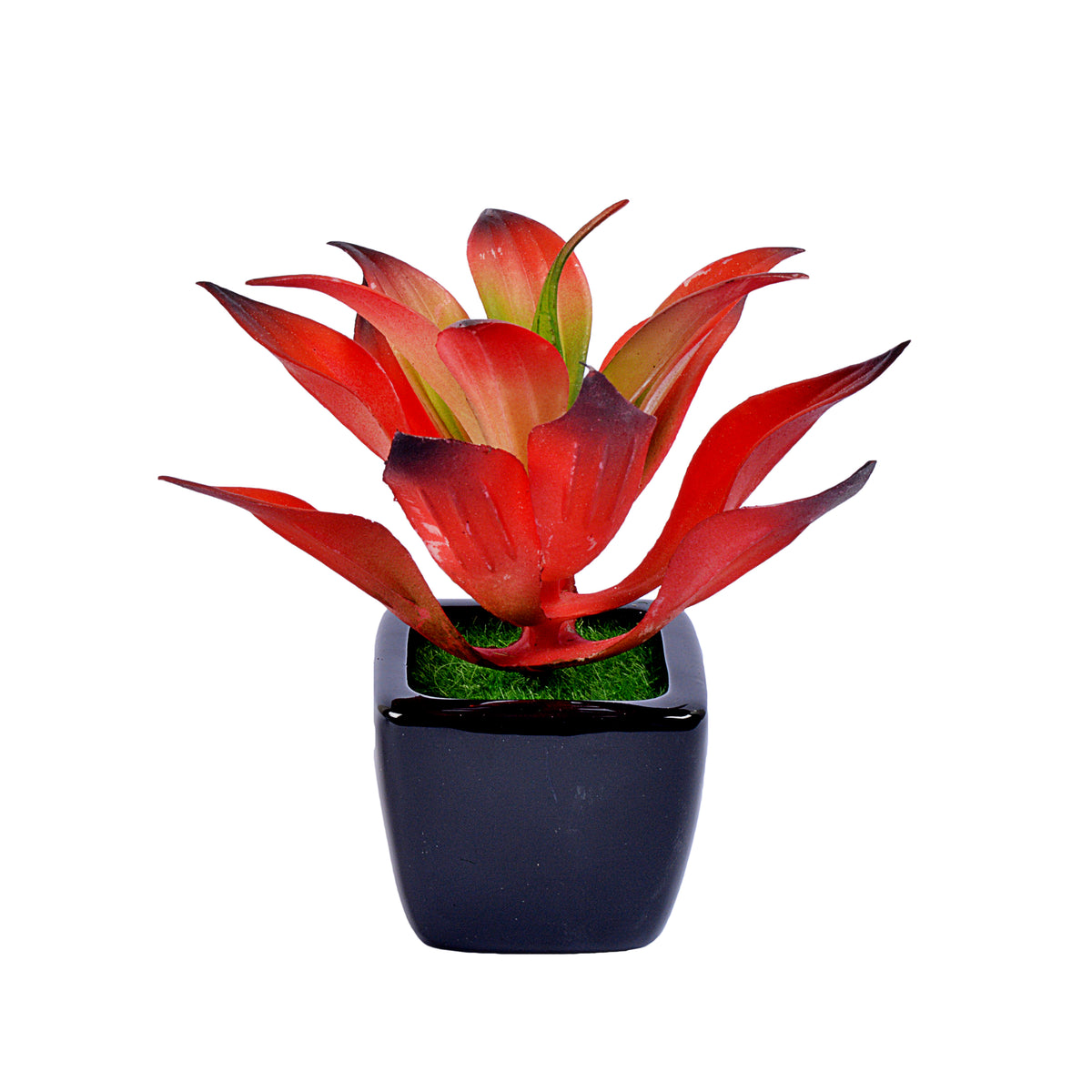 Small Ceramic Decorative Planter (set of 2)