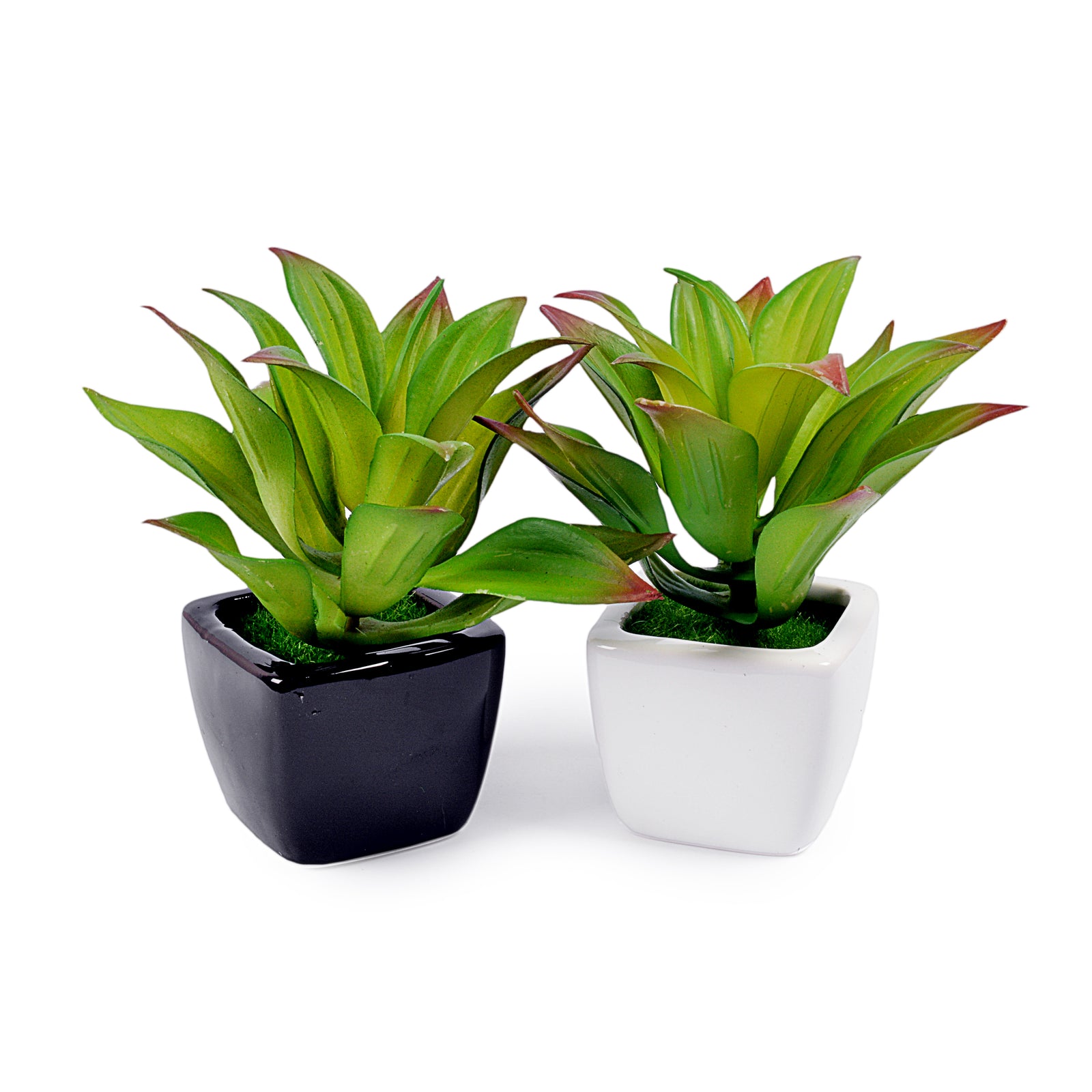 Small Ceramic Decorative Planter (set of 2)