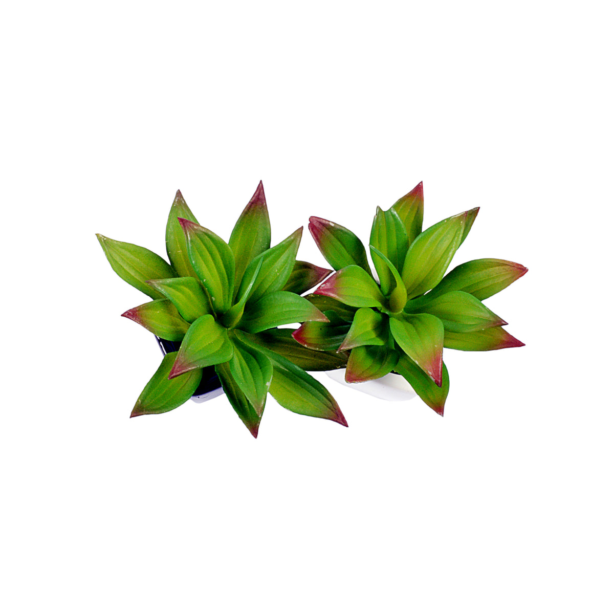 Small Ceramic Decorative Planter (set of 2)