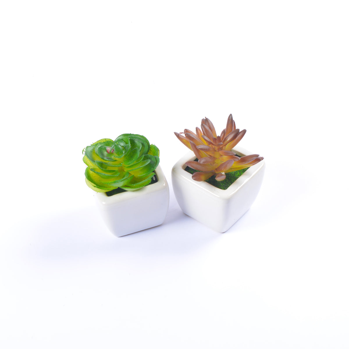 Small Ceramic Decorative Planter (set of 2)