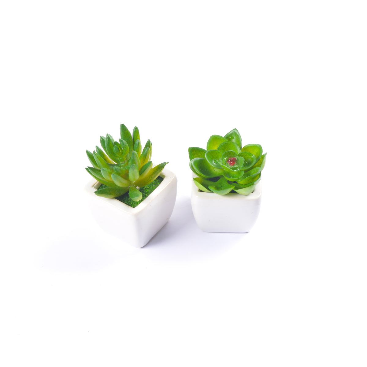 Small Ceramic Decorative Planter (set of 2)